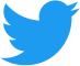 Logo_of_Twitter.svg
